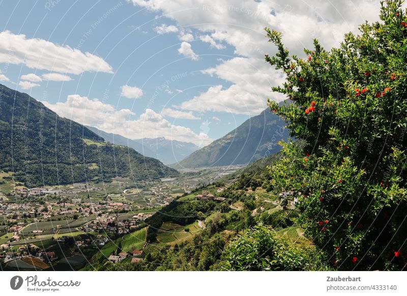 View into the Vinschgau valley near Dorf Tirol in South Tyrol Valley Sky Clouds mountains Landscape Nature Summer Beautiful weather Vacation & Travel Idyll