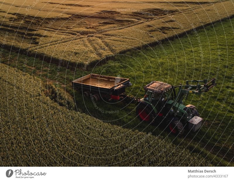 Grain Harvest Tractor Landscape Agriculture Nature fields field management peasant Cornfield