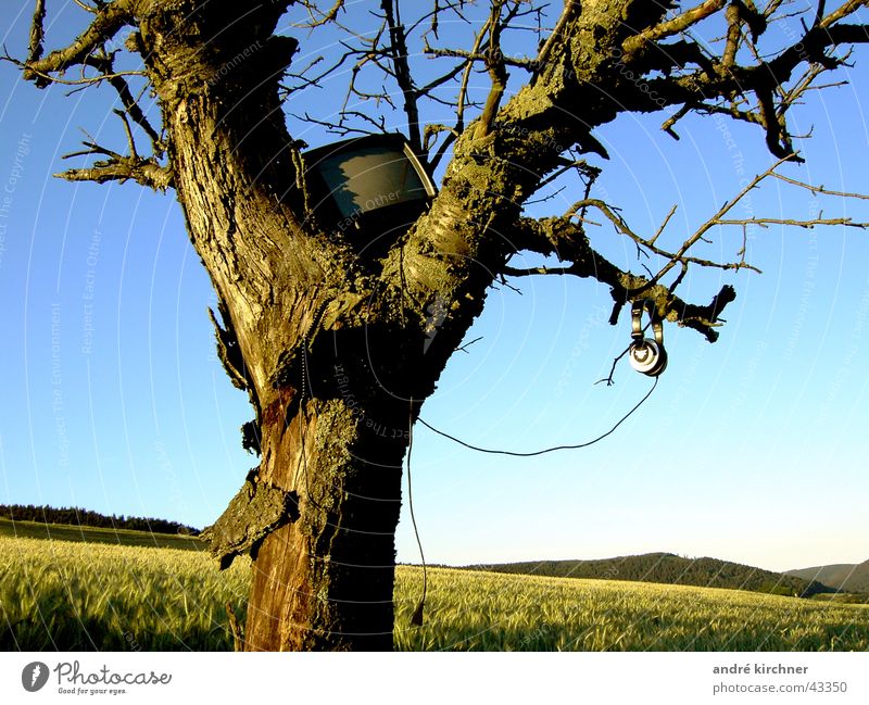 silent evolution nr.1 TV set Headphones Tree Field Summer Meadow