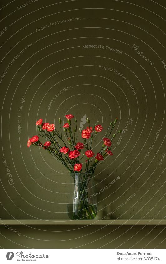 red bouquet of flowers in front of green wall Green Wall (building) wall colours Vase Still Life dwell Design Red Contrast Bouquet naturally Dark Dark green