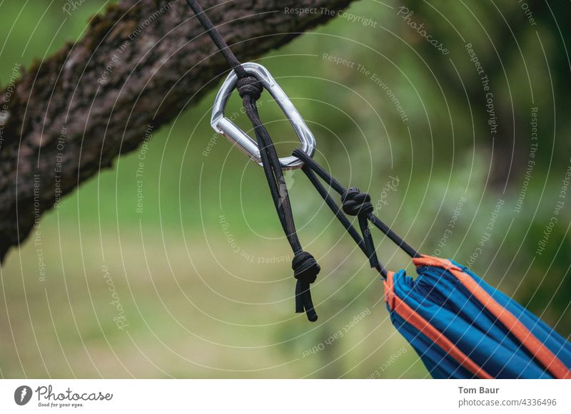 Carabiner on a hammock which is attached to a tree carbine snap hook Climbing Safety Rope Exterior shot Day Adventure Belt Checkmark Mountain Outdoors Nature