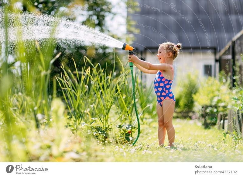 Charming baby girl waters plants with a hose in the garden in the backyard of the house on a sunny summer day child little spray childhood toddler beautiful