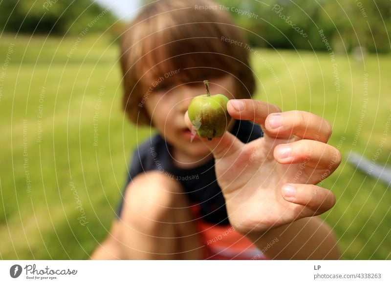 boy showing tiny apple at the camera Education To enjoy Optimism Religion and faith Generous Donation Charity Connection Positive Innocent Playful garden park