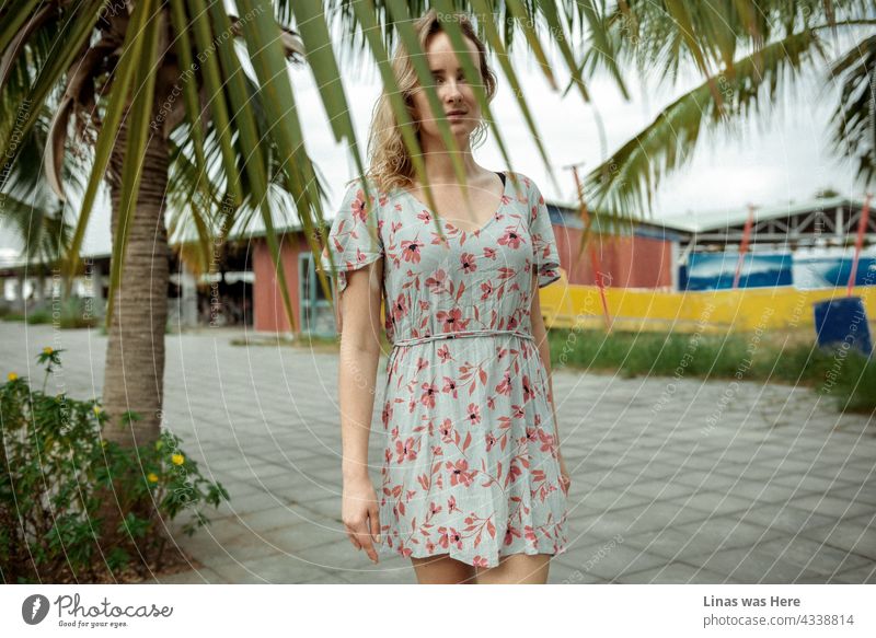 An image from a trip to Vietnam. A gorgeous blonde girl is posing in front of a camera. She’s wearing a summer dress and in a vacation mood. What a time to be alive!