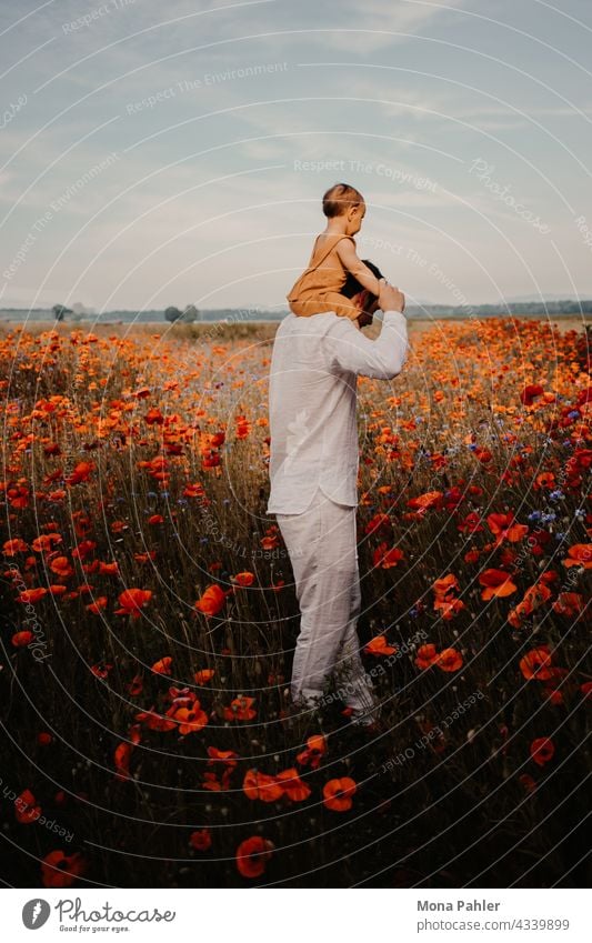 Child sits on daddy's shoulders. Together you walk through a tall field of poppies. Father Son Paternity Father with child Paternity leave Man Boy (child)