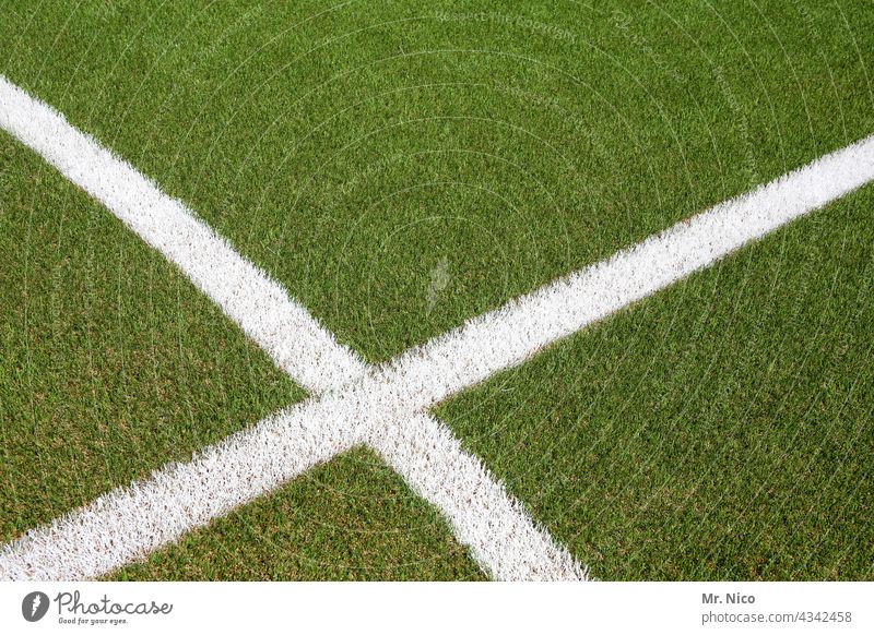 Marker lines mark X Playing field Football pitch Lawn training ground Green Line White Grass green Grass surface Artificial lawn artificial turf pitch