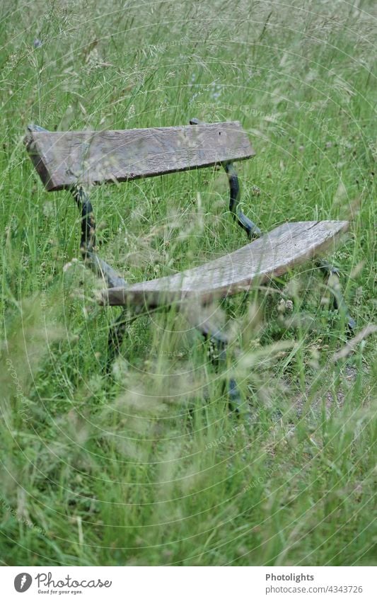 Old bench stands on a meadow with tall grasses Bench Wooden bench Meadow Green Brown Black White Pollen Lawn Colour photo Exterior shot Nature Grass Deserted