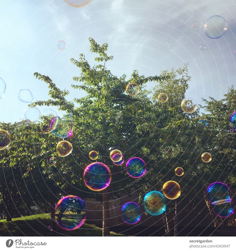 [PARKTOUR HH 2021] The world in a sphere. Soap bubble fun Tree Park Summer blow Colour photo variegated soapy Infancy Playing Joy Exterior shot Day