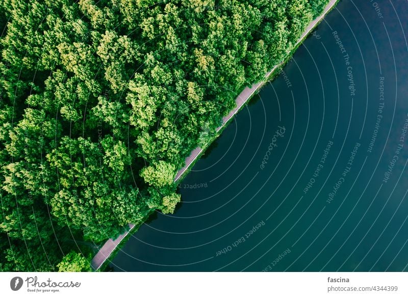 Green forest and water aerial top view, copy space surface texture diagonal copyspace lake turquoise park trees green deciduous summer nature natural above