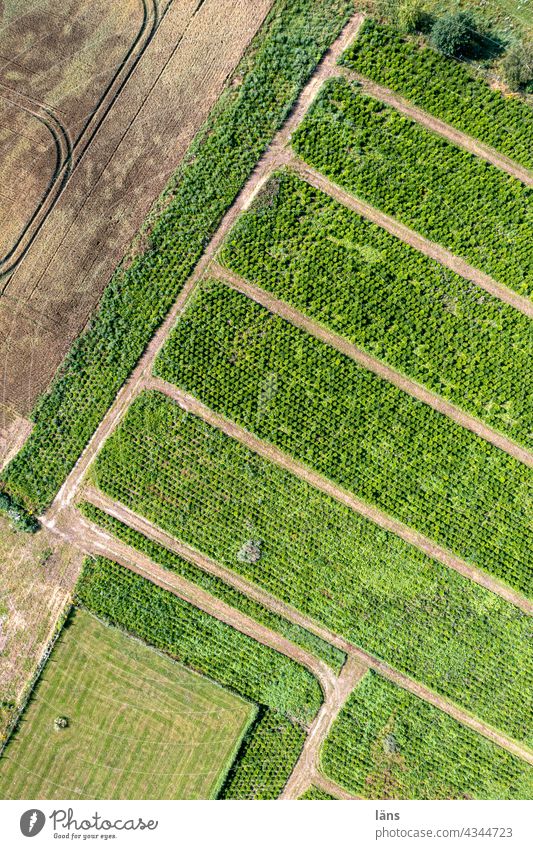 interspaces l in the landscape Landscape - Nature Lanes & trails structure Tree bushes Structures and shapes Deserted Bird's-eye view UAV view