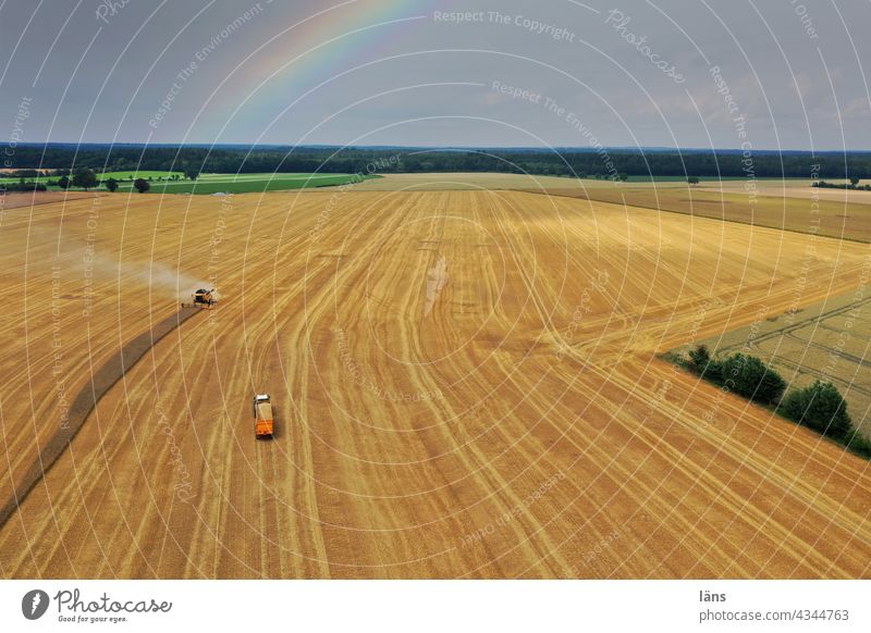 Harvesting operation in grain field Bird's-eye view Field Grain field Exterior shot Agriculture Summer UAV View subdivision Rainbow harvest operation Combine