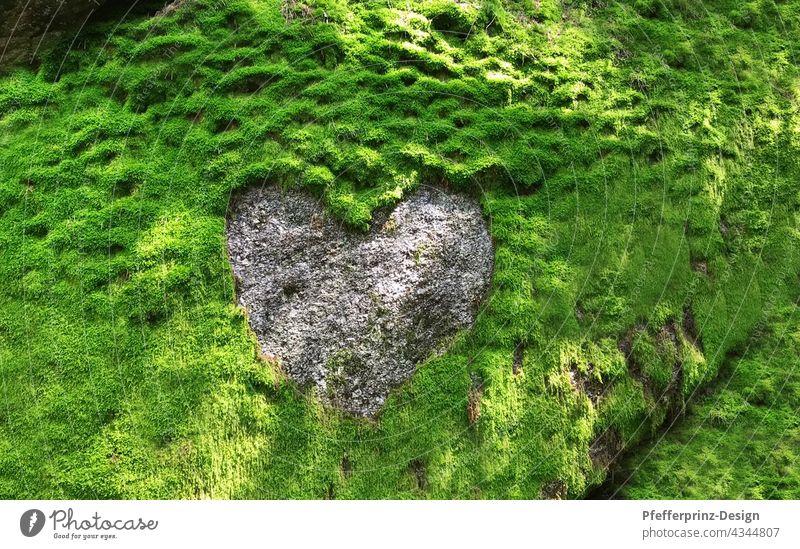 Moss rock with a heart structure of granite moss cliffs Granite Heart Heart-shaped heart of stone Green