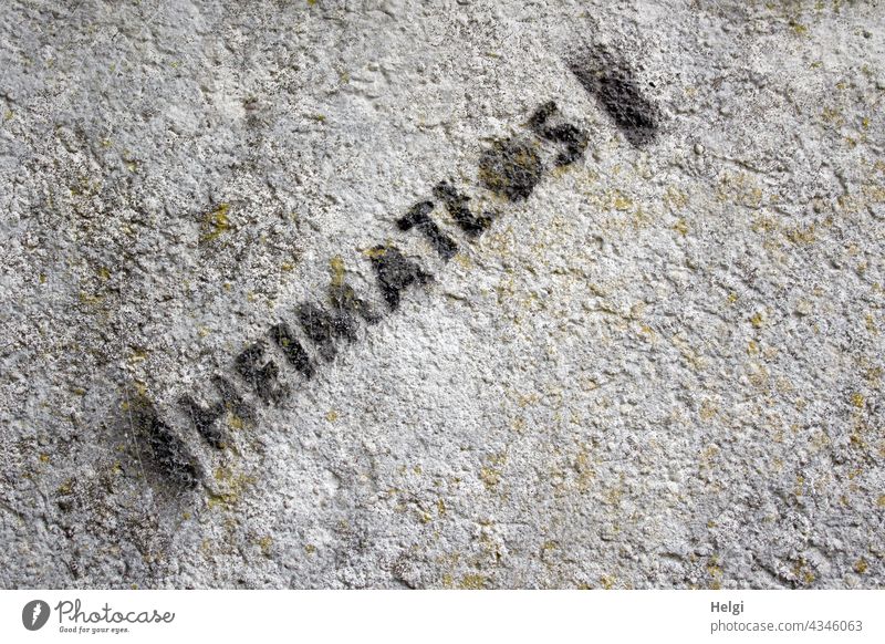 Lettering Heimatlos printed in black on a grey wall writing lettering Word Homeless Text Characters Letters (alphabet) Deserted Typography communication