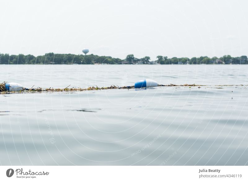 Buoy and rope barrier floating on surface of a lake; trees and water tower in background buoy lake weed plant invasive safety swimming sky landscape nature