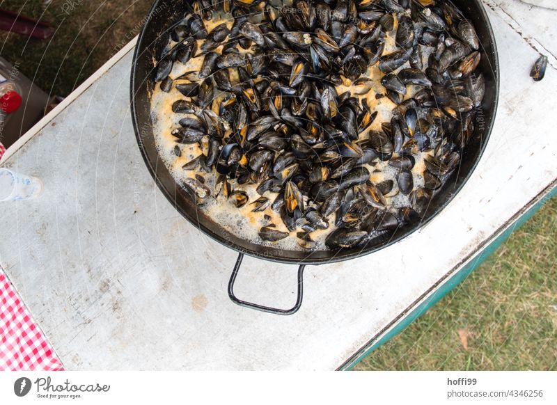 fresh mussels wait for guests at a feast Mussel seashells Preparation Festival celebrations Marketplace Delicious Nutrition Food Eating Lunch Snack Finger food