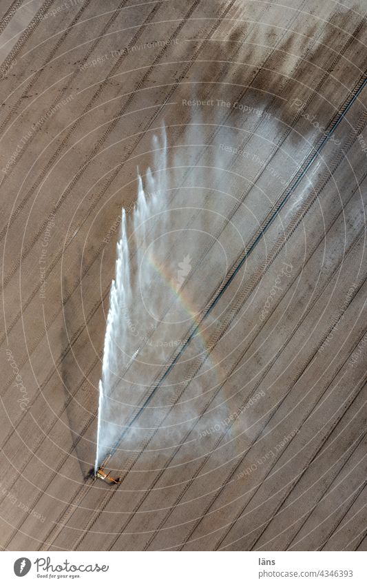 Agricultural irrigation Irrigation Bird's-eye view Deserted Arable land Water Summer Wet lines Cast Exterior shot UAV view Rainbow Agriculture aridity