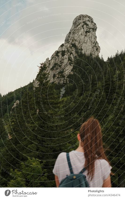 Young woman looking at a rock Alps Woman Ponytail Backpack Forest trees Green Gray Brown Clouds Chiemgau mountain Nature Landscape Hiking Tourism Mountain