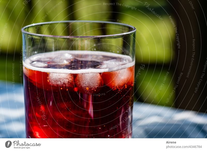Refill Beverage Drinking Aperitif iced Ice Red Glass Cold Summer Delicious cute Juice Thirst Alcoholic drinks Lifestyle Cold drink Positive Cheerful Fresh