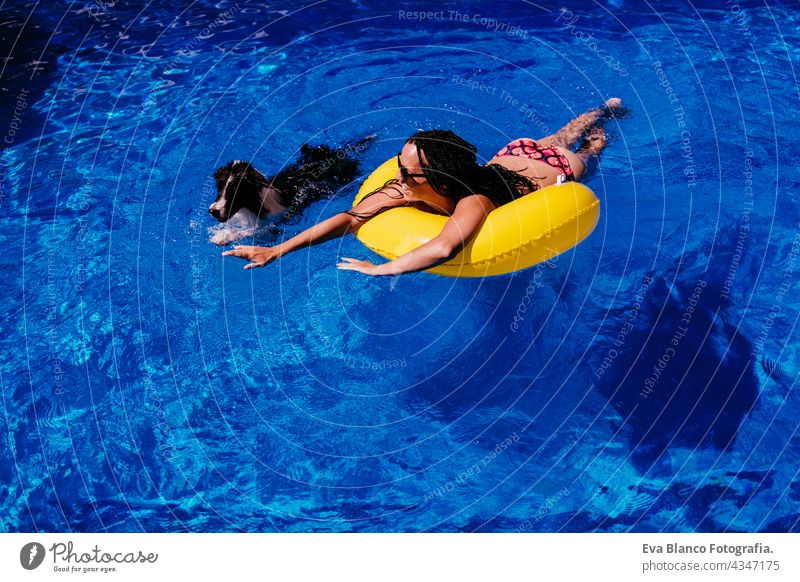 top view of happy caucasian woman relaxing on yellow donuts inflatable at swimming pool. Cute border collie dog into the pool. Summer time, vacation and lifestyle