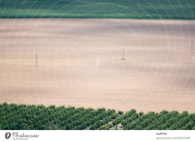 View into the country - bare field framed by green vegetation stripes Field Agriculture agricultural landscape Harvest Summer Agricultural industry
