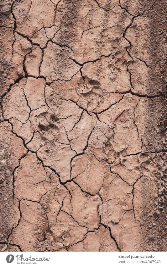 dog footprint on desert ground land dry brown textured earth nature climate pattern dirt arid sand surface environment global warming climate change abstract