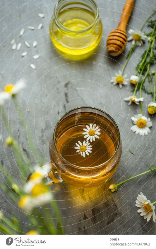Chamomile tea in a tea glass on a rustic table camomile tea Camomile blossom Plant Blossom Herb tea Rustic Honey Medicinal plant Alternative medicine Healthy