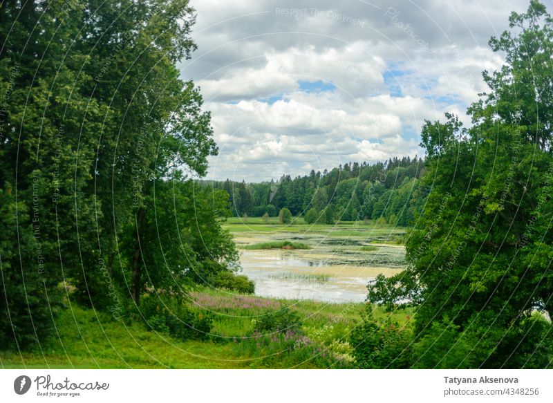 View to forest lake in Estonia summer water tree green landscape nature bog estonia outdoor cloud environment sky beautiful calm tranquil idyllic rural scenic