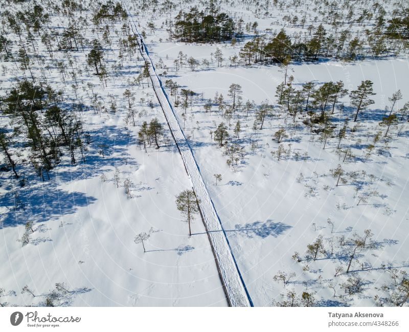 Aerial view to winter bog and forest snow swamp marsh aerial hiking estonia trail cold nature landscape tree outdoor weather snowy environment season travel