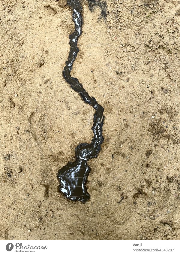 Oil slick, umbilical cord or just dirty water artfully draining away Sand Nature Water Forest Colour photo Exterior shot Day Environment Deserted naturally