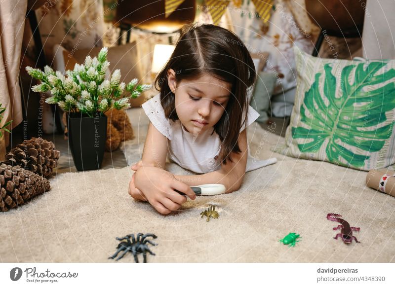 Girl playing observing toy bugs with a magnifying glass girl watching insect spider tent teepee lying child education kid plant cute explore animal lens beetle