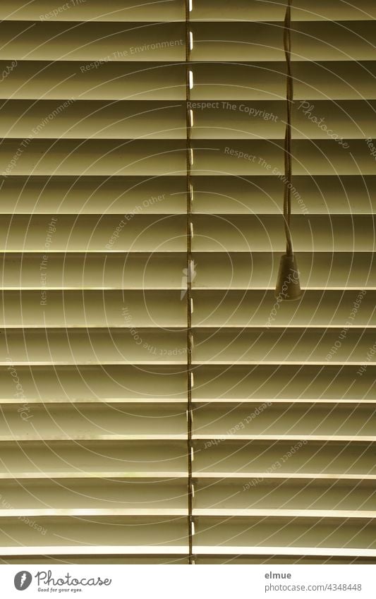 Pleated metal blind with cord / privacy / blackout / interior aluminum blinds Pleated blinds Venetian blinds Interior aluminium blind Metal Screening