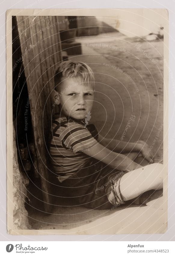! Boy (child) Child Infancy Human being 3 - 8 years Exterior shot Looking Looking into the camera portrait Masculine bub Seriousness serious look Face Blonde