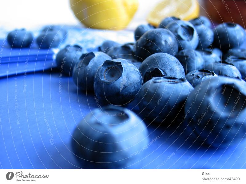 blueberry group Lemon Still Life Napkin Gastronomy Healthy Blueberries (German?) Fruit Tablecloth