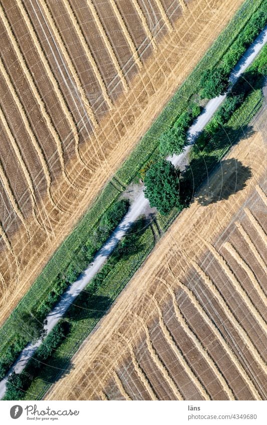 interspaces l agriculture Agriculture Arable land pond Pond Grain Nature Field Summer Grain field Deserted Growth Cornfield Agricultural crop Bird's-eye view