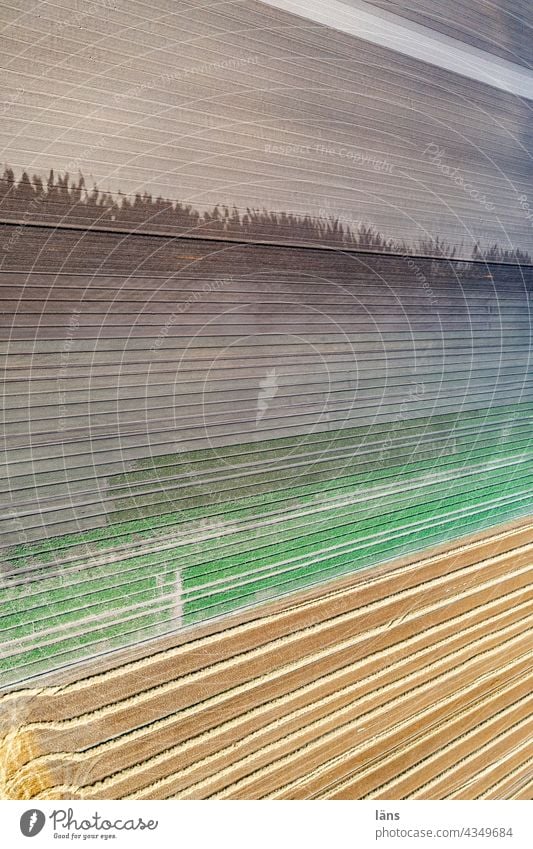 Agricultural area Irrigation Bird's-eye view Deserted Arable land Water Summer Wet lines Exterior shot UAV view Colour photo Striped Agriculture droning