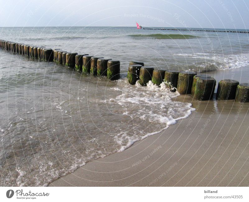 Baltic Beach Ocean Waves White crest Summer Baltic Sea Water Sand Break water Sun