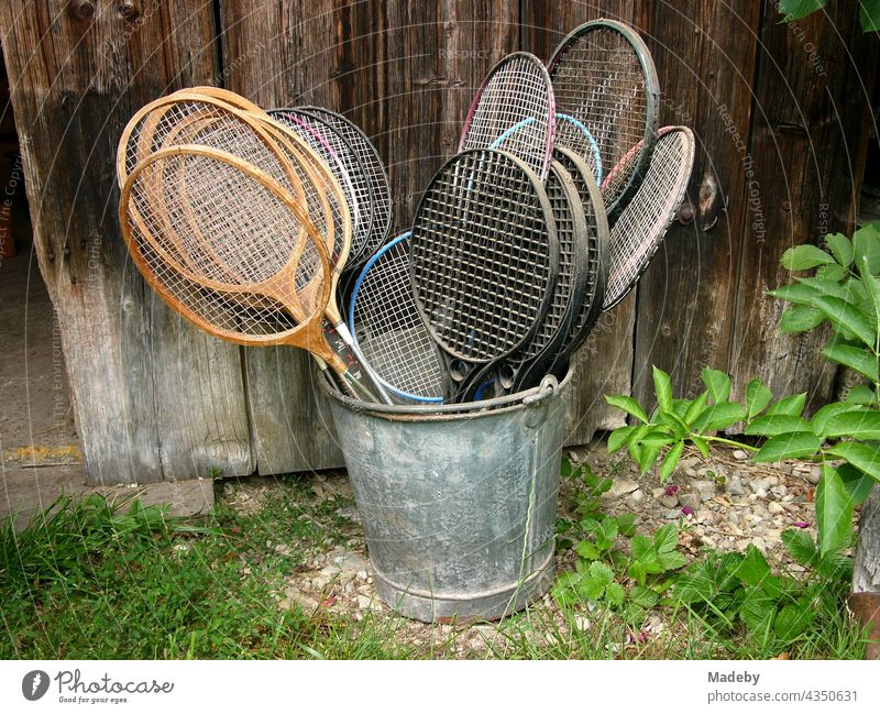 Badminton rackets in all variations in an old zinc bucket in front of an old barn on a farm in Rudersau near Rottenbuch in the district of Weilheim-Schongau in Upper Bavaria