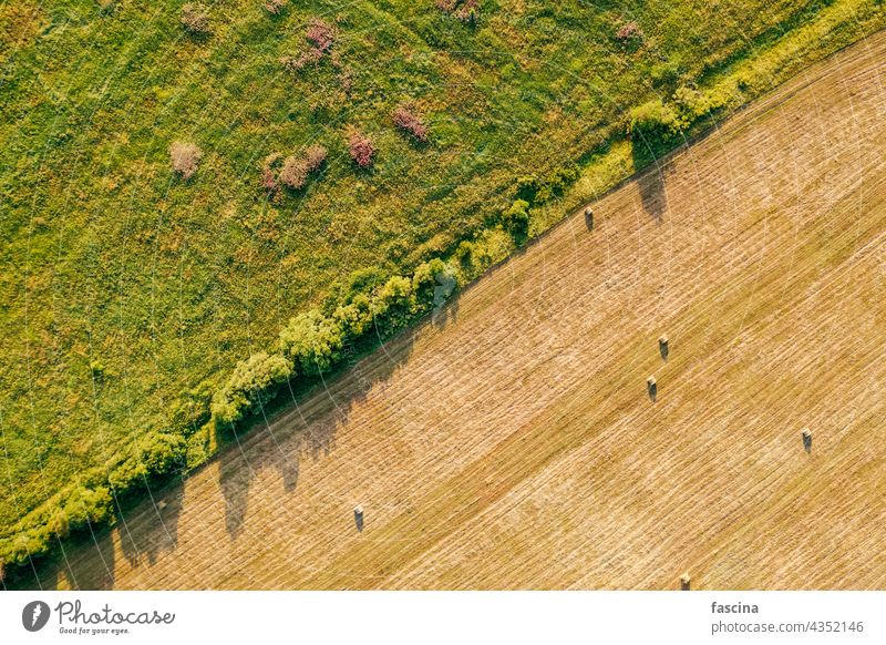 baled hay in field Agriculture Copyspace Top down view agriculture freshly grass sustainable environment meadow farming drone aerial sunset concept ecology