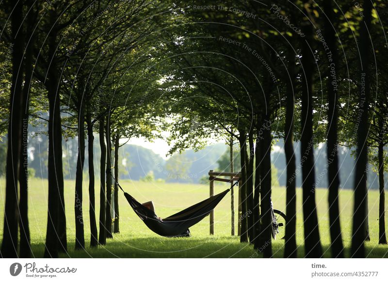 favourite place Hammock Lie trees Tense Park Bicycle relaxation Break Relaxation rest creatively To swing Nature recover vacation