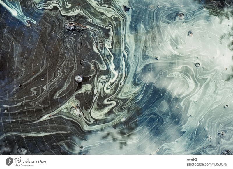 Puddle design Structures and shapes Abstract Pattern Water Smear Detail Close-up Exterior shot Calm Bizarre Colour photo Flow bizarre shapes Mysterious Near
