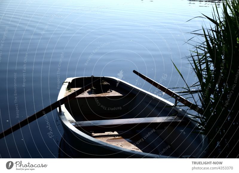Traditional summer flirt medium - also popular for fishing. An old wooden rowing boat with suspended oars lies ready for use on the reed-covered lake shore in the morning sun