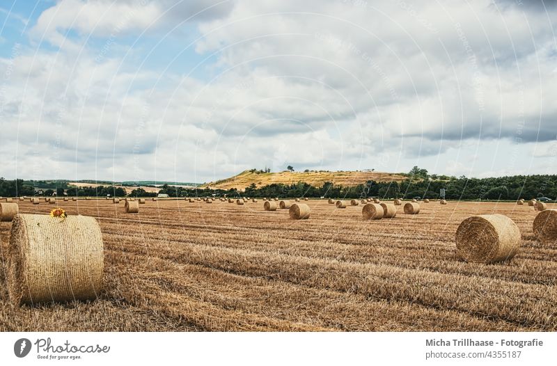 Straw bales in the field Field Cornfield Bale of straw round bales Pressed harvested mares Agriculture Grain Grain field Harvest mountains Hill Sky Clouds Sun