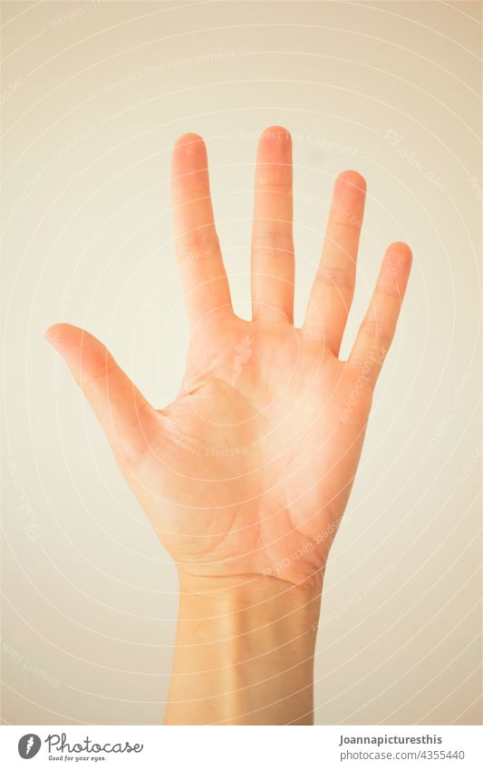 palm Hand Palm of the hand Fingers Human being Skin Gesture body part Symbols and metaphors wrist gesticulating high five
