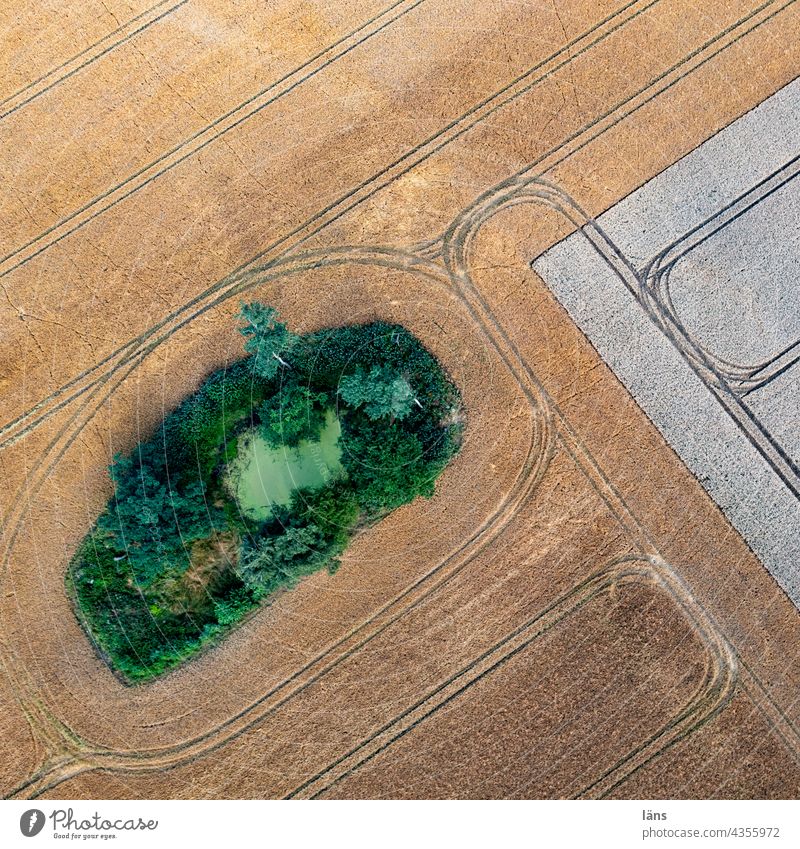 Pond in the farmland Agriculture Arable land pond Grain Nature Field Summer Grain field Deserted Growth Cornfield Agricultural crop Bird's-eye view UAV view
