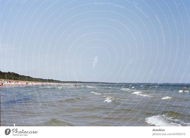 Baltic Sea beach with bathing holidaymakers photographed from the water - analogue, 35mm Dike Hill Nature plants Summer Beautiful weather Wind Sunlight warm