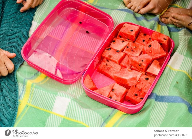Watermelon pieces in red plastic box Water melon share Fresh Picnic picnic blanket Trip Beach vacation Summer Fruit Healthy Food Colour photo Exterior shot