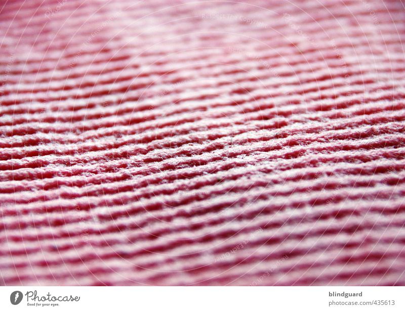 Heul Doch WISCH You Well Kitchen Pink Cleaning Floor cloth Cloth Structures and shapes Colour photo Close-up Detail Pattern Deserted Day Light Shadow Blur