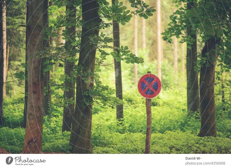 no stopping in the woods Forest Nature No standing Environmental protection Sign Protection guard sb./sth. Signs and labeling Climate protection concept trees