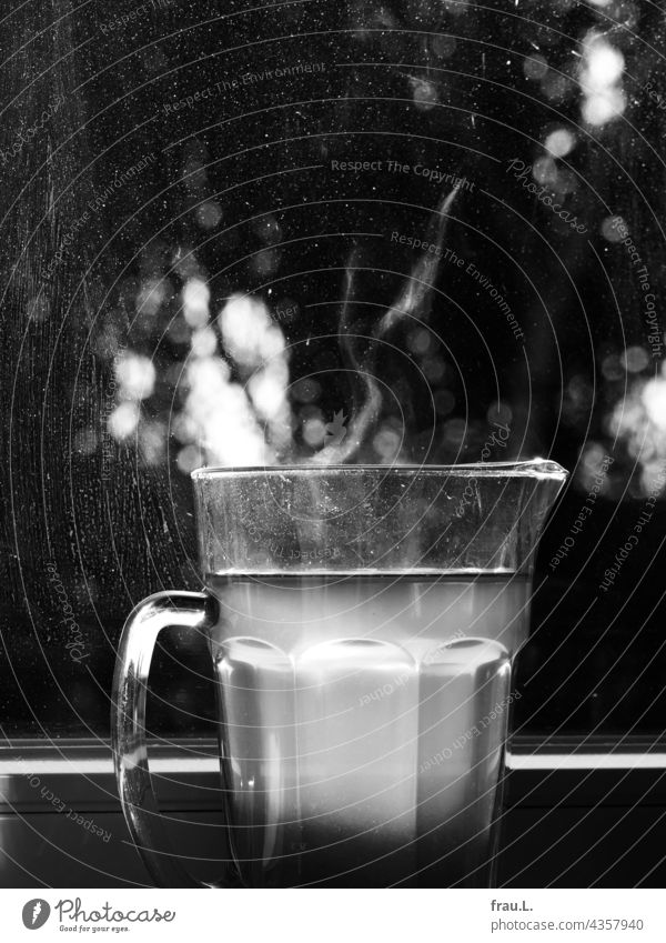 Caraway fennel orange tea Water jug Tea warm Window salubriously Glass pitcher Beverage Hot Tree