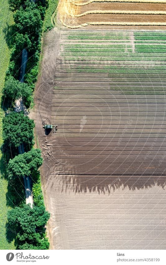 Agricultural area Irrigation Bird's-eye view Deserted Arable land Water Summer Wet lines Exterior shot UAV view Colour photo Striped Agriculture droning
